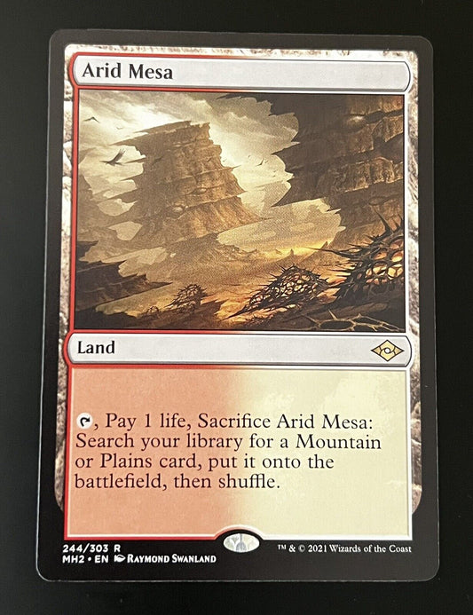 MTG Modern Horizons 2 (MH2) Rare Arid Mesa 244 NM