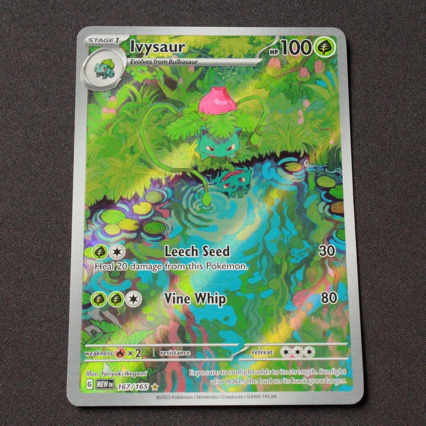 Pokemon SV: Scarlet and Violet 151 Illustration Rare Holofoil Ivysaur 167/165 NM