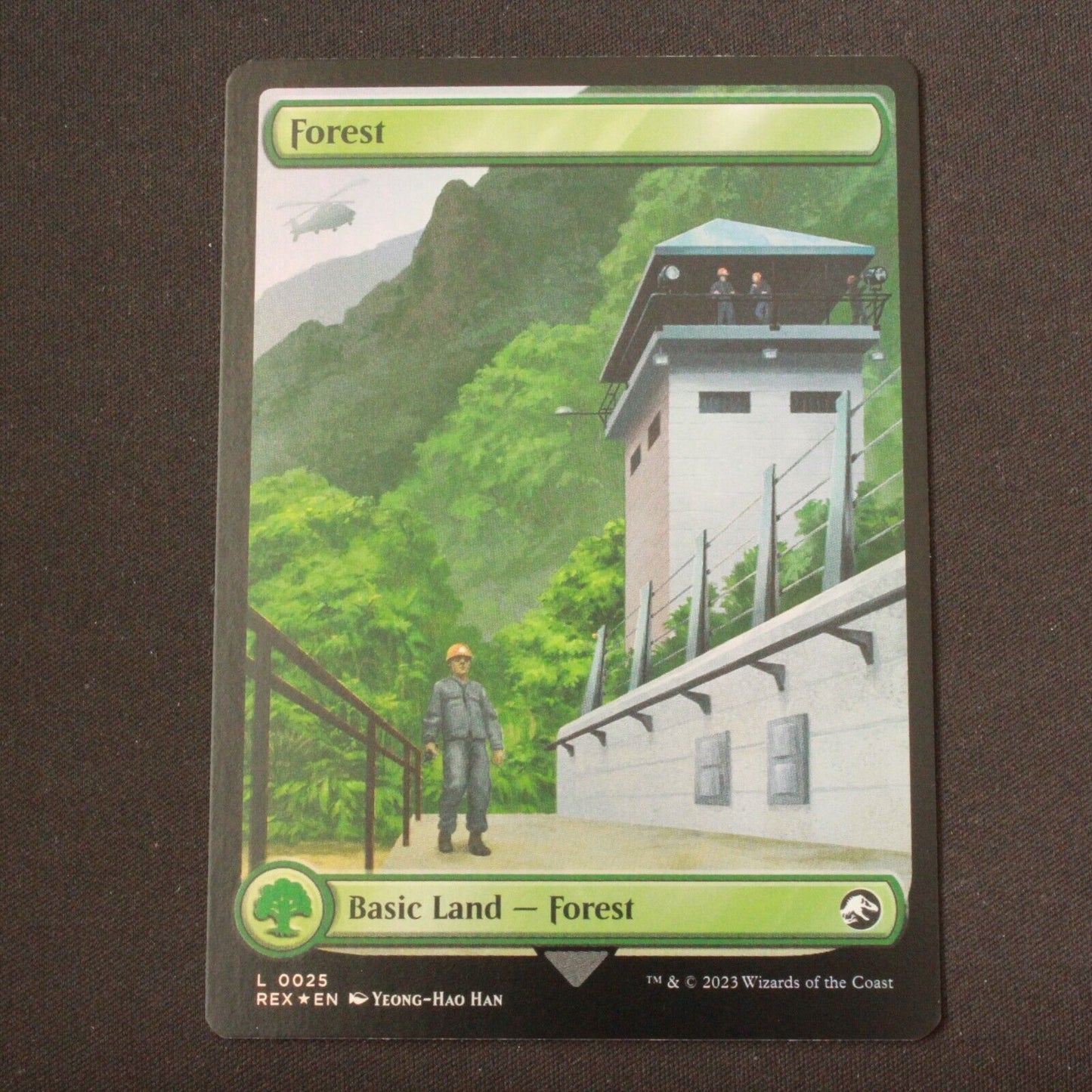 MTG Universes Beyond: Jurassic World Collection (REX) Land FOIL Forest 25 NM