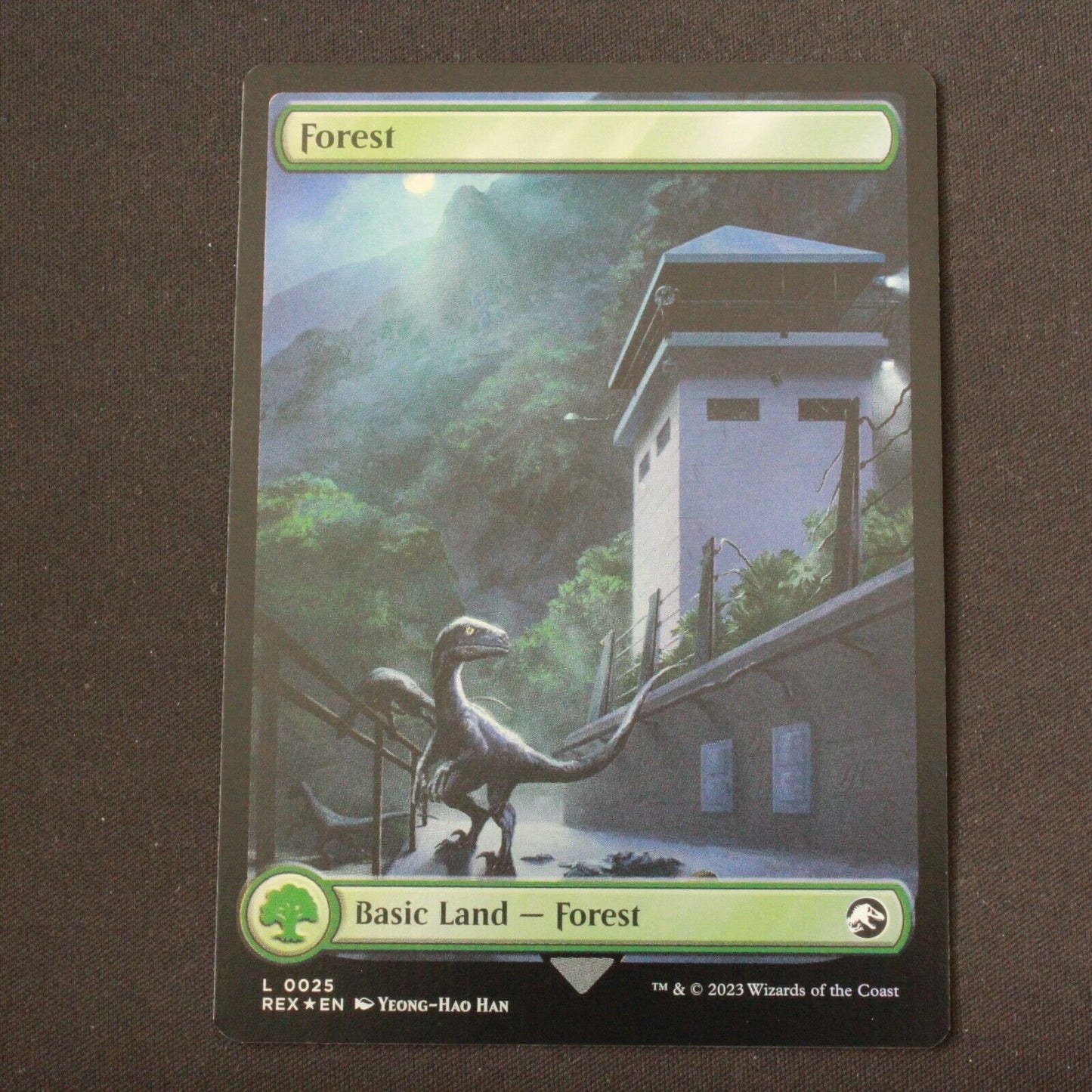 MTG Universes Beyond: Jurassic World Collection (REX) Land FOIL Forest 25 NM