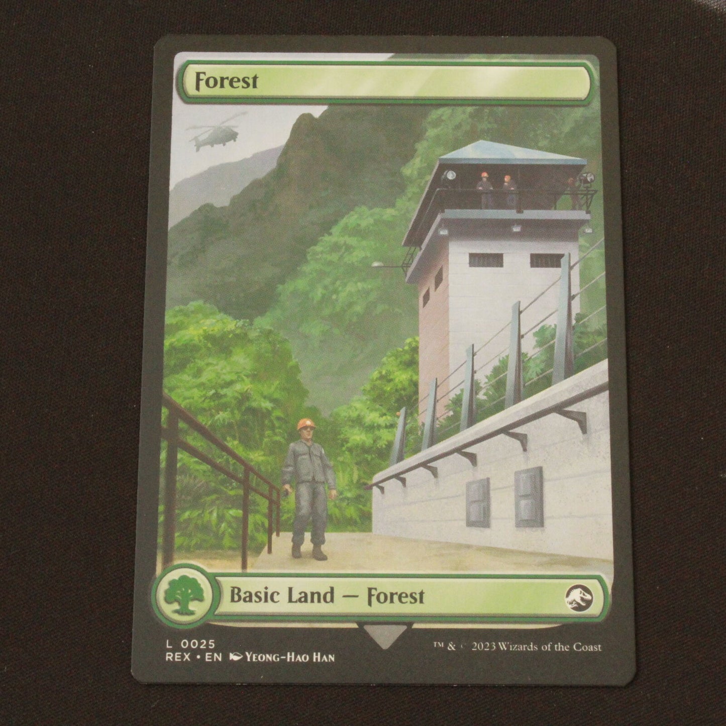 MTG Universes Beyond: Jurassic World Collection (REX) Land Forest 25 NM