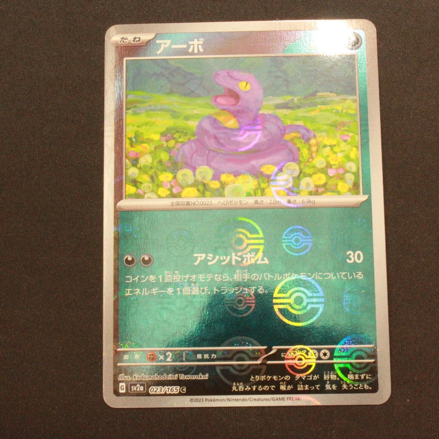 Pokemon SV2A 151 Japanese Holofoil Ekans Reverse Holo 023/165 NM