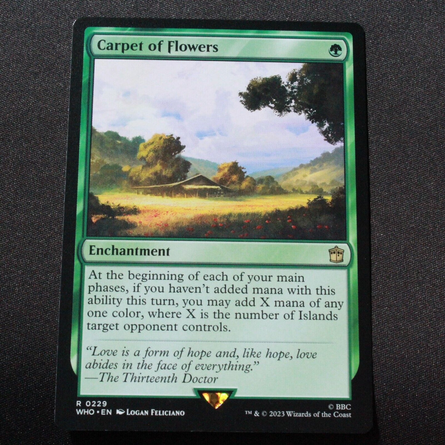 MTG Universes Beyond: Doctor Who (WHO) Rare Carpet of Flowers 229 NM