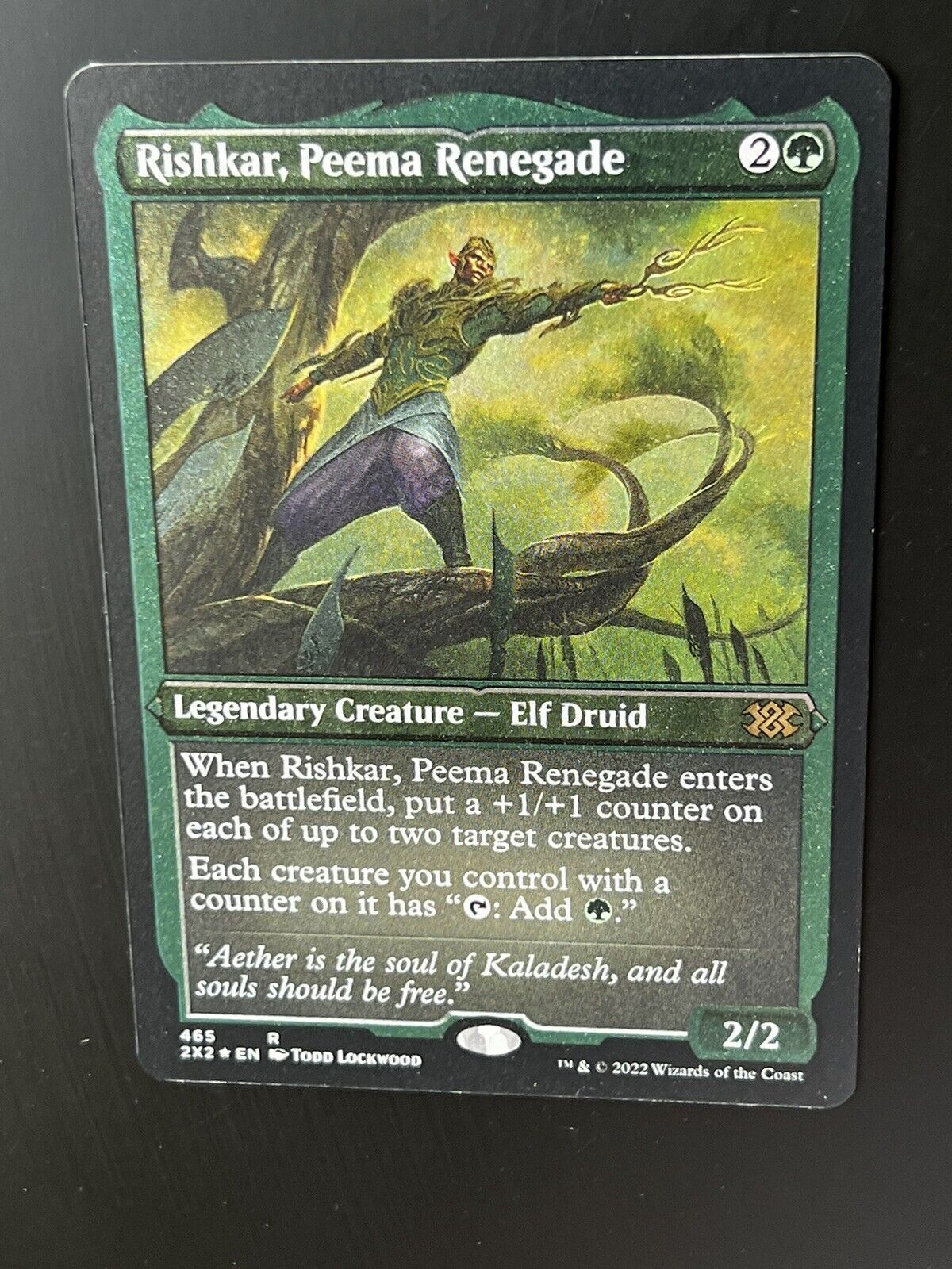 MTG Double Masters 2022 (2X2) Rare Rishkar, Peema Renegade (Foil Etched) 465 NM